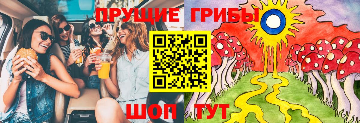 Псилоцибиновые грибы мухоморы Уссурийск