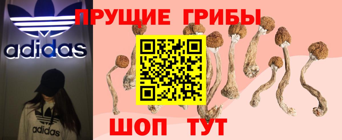 Псилоцибиновые грибы Psilocybe  Вход с VPN  Уссурийск 